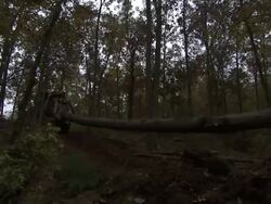 Long Shot hand-held pan-left - A skidder drags a log through a forest. / Missouri, USA Stock Footage