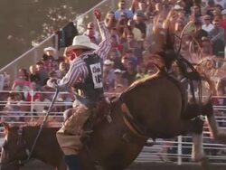 Cowboy rides a bucking bronco and is thrown at a rodeo - shot in slow motion. Stock Footage