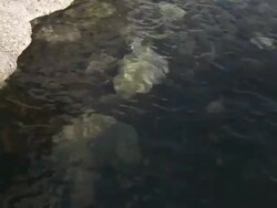 MS Shot of Crystalline Water and Volcanic Cliffs at Cabo de Gata Natural Park / Agua Amarga, Andalusia, Spain Stock Footage