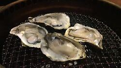 Juicy Oysters on Grill Stock Footage