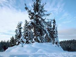 Island Flip Stock Footage