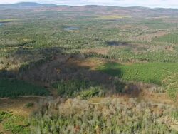 WS ARIEAL View of Forest and lake / Maine, United States Stock Footage