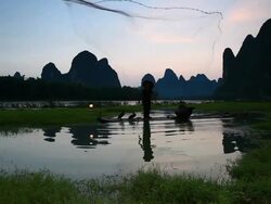 fishman in li jiang river Stock Footage
