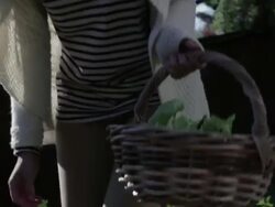 MS TU TD Woman working in garden / Los Angeles, California, United States Stock Footage