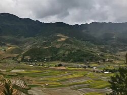 time lapse of terraced rice field in Tule Village Stock Footage