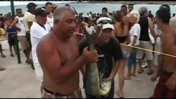 Hemingway fishing tournament pays tribute to Nobel laureate News Clip
