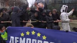 EU extends approval for weed killer claimed to harm health Instructional Video