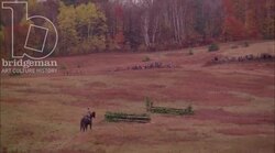 Man on horseback riding through the countryside, 1908 - reenactment. Clip 3 Stock Footage