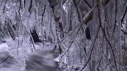 Ice formation on stream Stock Footage
