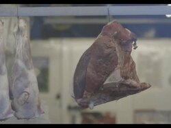 UK butcher's shop John F Pritchard's in the Minster Town of Southwell, Nottinghamshire on March 5, 2013. Stock Footage