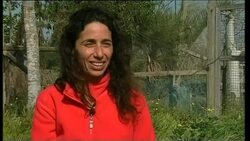 Former ballerina sets up desert animal shelter News Clip