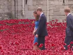 Royals Walk Through WW1 Centenary Poppies at Tower of London News Clip