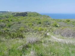 Baltic sea Island Hiddensee in East Germany Stock Footage