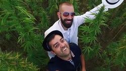 Men and Cannabis. Slow motion Stock Footage