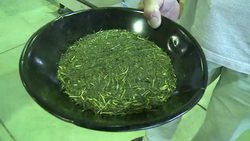 VOICED : Tea buffs gather in Japan for global News Clip