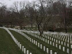 Resting Place For Heroes: Arlington National Cemetery Stock Footage