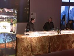 'G'day USA' Australia Week 2008 event Stock Footage