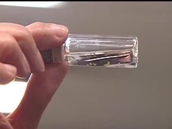 The Customs office checks Valentine's Day flowers for bugs that the office says could wreak havoc on the nation's agricultural industry. News Clip