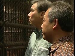 Orangutans seized from Thai  zoo to be returned to Indonesia News Clip