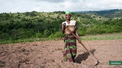 TED: 3 reasons why we can win the fight against poverty | Andrew Youn Instructional Video