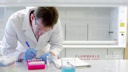 MS PAN Scientist labeling centrifuge test tubes in tray in research laboratory Stock Footage