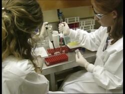 AUSTRALIA: SYDNEY OLYMPICS: DRUGS 3 News Clip