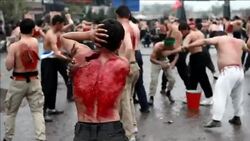 CLEAN : Afghans mark Ashura in Kabul News Clip