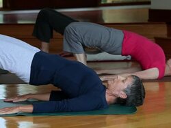 MS PAN Group of adults doing yoga in studio / Richmond, Virginia, United States Stock Footage