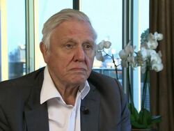INTERVIEW: Sir David Attenborough on Rapanui's 'The Present of Life' at Sir David Attenborough Interview at Mayfair Exchange on December 11, 2012 in London, England.  Stock Footage