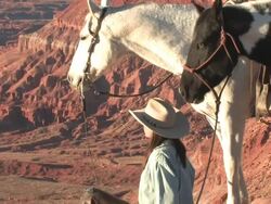 MS ZO Women sitting with Horses over looking spectaculair Red Rock Canyonss, Majestic Western Landscapes / Telluride, Colorado, United States   Stock Footage