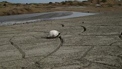 Mud volcano Stock Footage