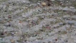 Clear water from the rain Stock Footage