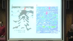CLEAN : Over 90% chance of hidden chambers in Tutankhamun tomb (2) News Clip
