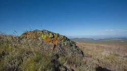 Steens Mountain Stock Footage