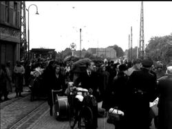 MEN OF ARNHEM - News Clip