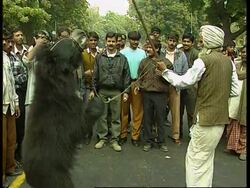 India - Animal trainers protest for licences News Clip