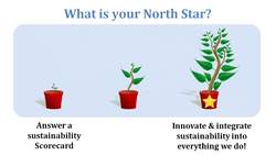 Determining Your North Star Instructional Video