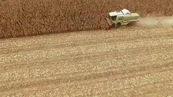 Harvester Work on Cornfield Stock Footage