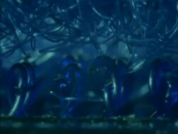 ECU Pan right across hooks and loops of blue Velcro Stock Footage