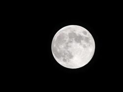 Full Moon Stock Footage