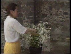 MEXICO: DAY OF THE DEAD CELEBRATIONS News Clip