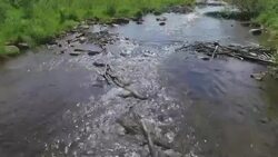 Whitefish Island and bridge to Canada in Sault Ste Marie, Ontario Stock Footage