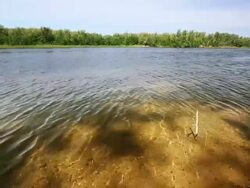 Summer lake panorama Stock Footage