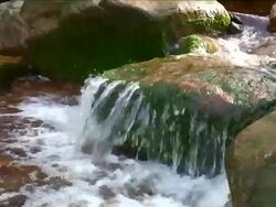 WATER CASCADES OVER LICHEN COVERED ROCK Stock Footage