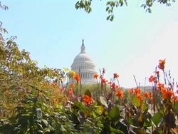 HD US Capital ZoomIn_2 (1080/24P) Stock Footage