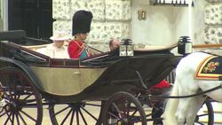 Trooping the Colour ceremony for the Queen's official birthday News Clip