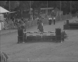 WITH HORSES IN VIEW News Clip