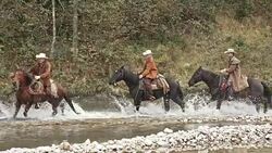 SLO MO Three herdsmen riding horses across river Stock Footage