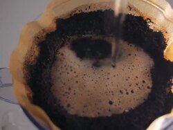 Coffee Drip Stock Footage