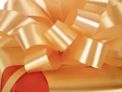 HD: Gift Stock Footage